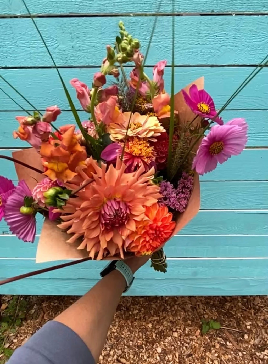 Terracotta - Dahlia Tuber