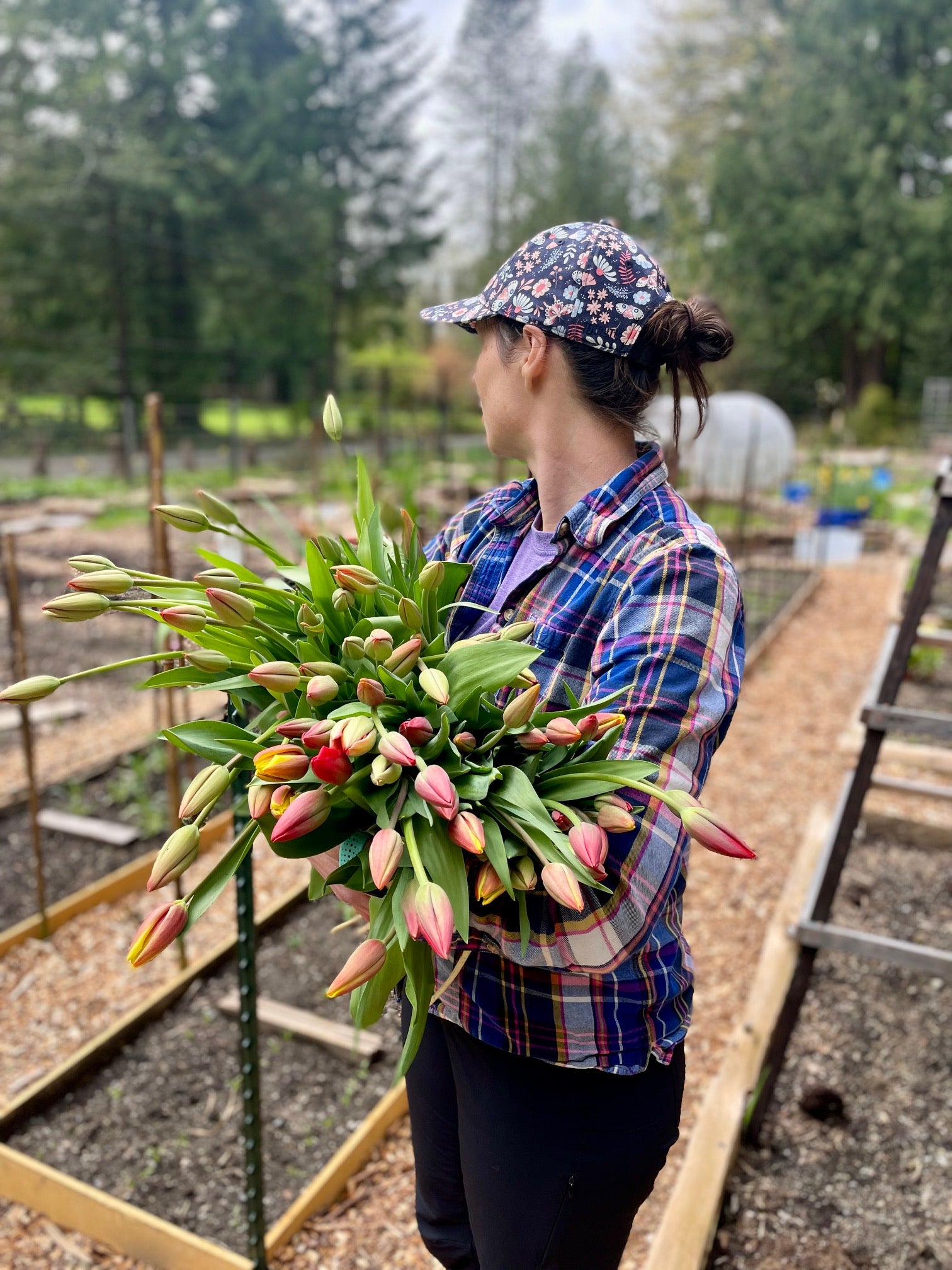 3 Week Early Spring Flower CSA Bouquet Subscription