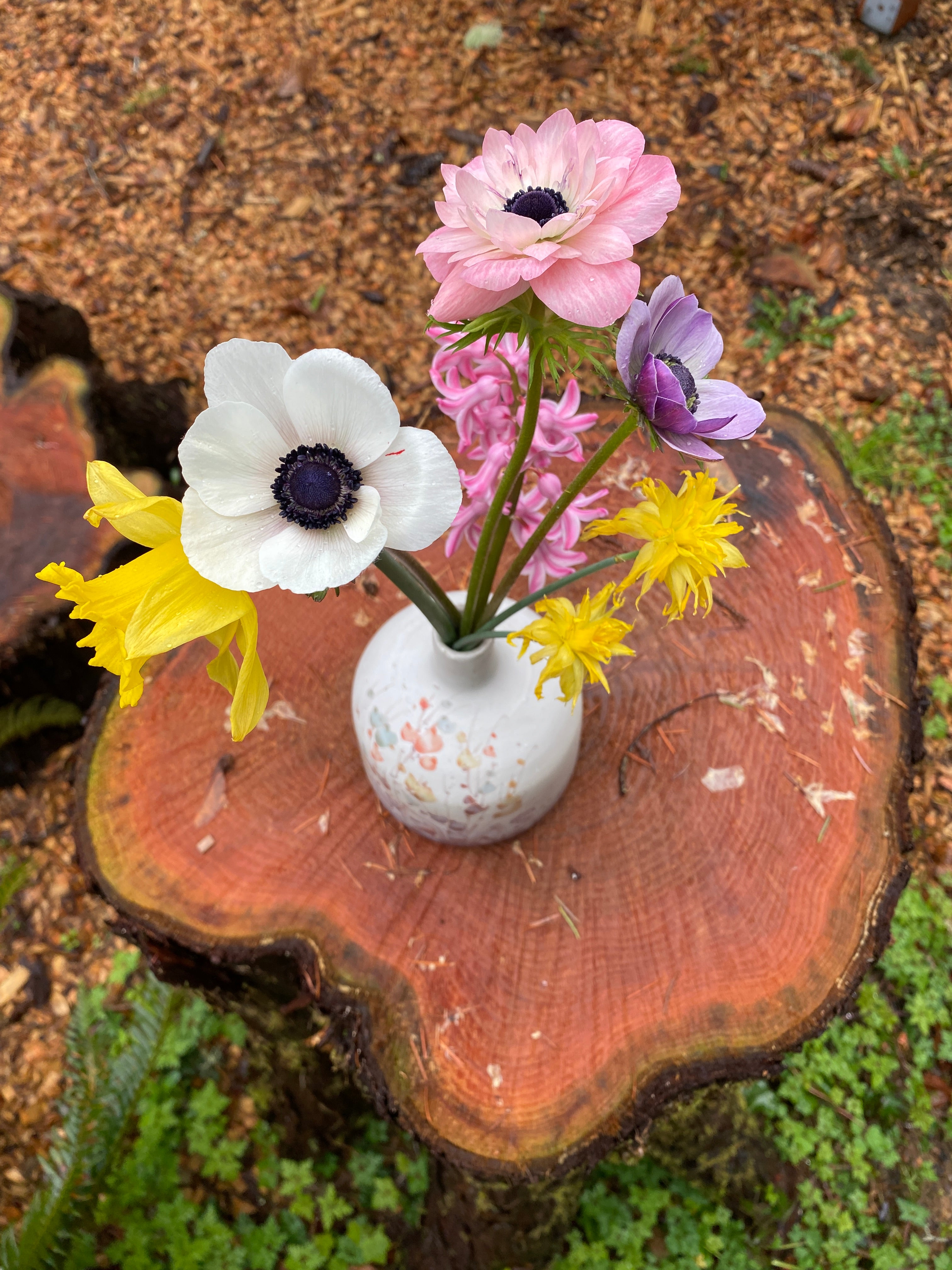 3 Week Early Spring Flower CSA Bouquet Subscription