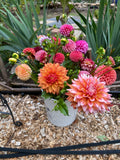 Growers Choice/Mystery Bulk Bundle of 10 - Dahlia Tuber