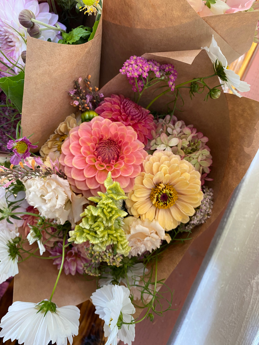 20th Ave Softer Peach - Dahlia Tuber