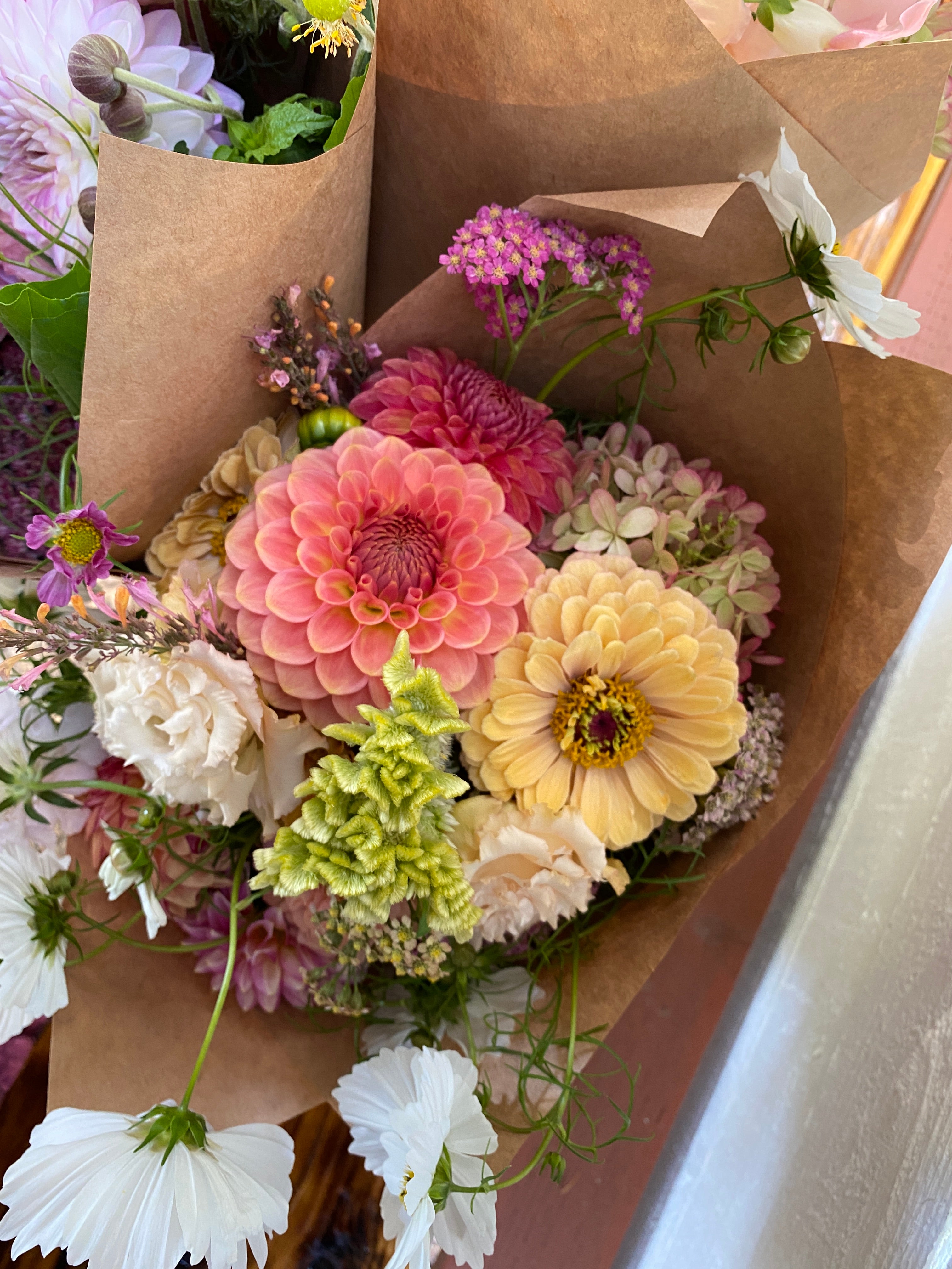 20th Ave Softer Peach - Dahlia Tuber