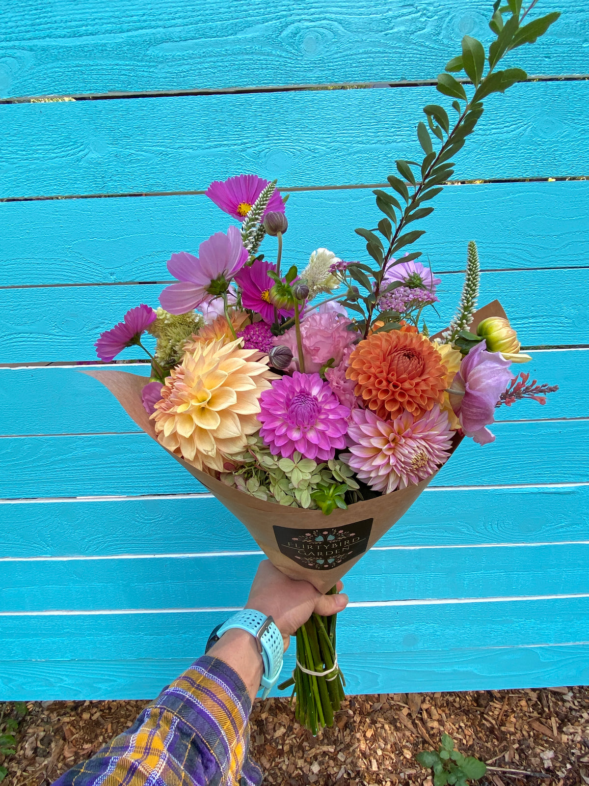 A hand holding a colorful flower bouquet with dahlias, cosmos, and green foliage in front of a bright turquoise wooden plank background.